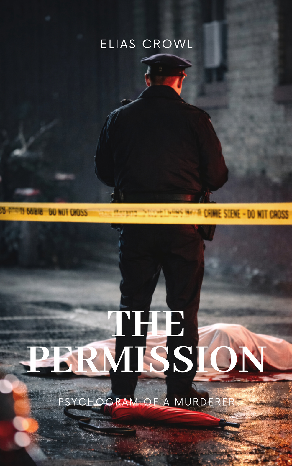 Novel: The Permission — Cover