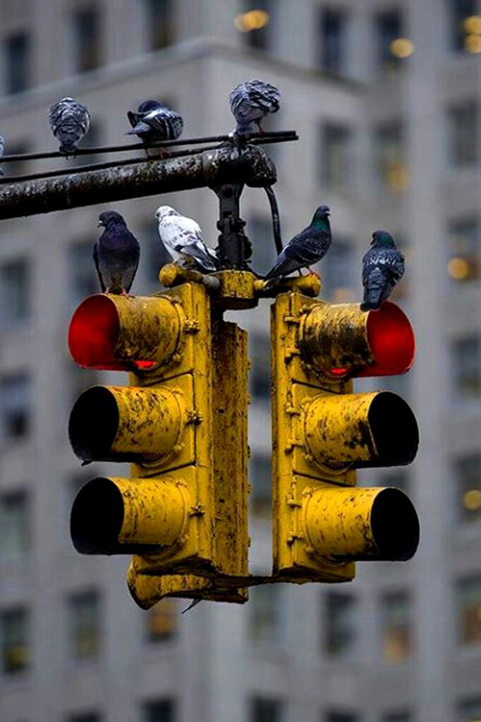 streetlights